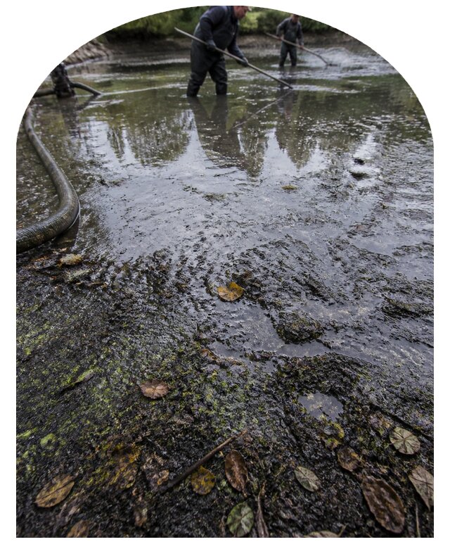 Очистка пруда в Новодвинске от ила мусора и водорослей с вывозом